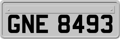 GNE8493