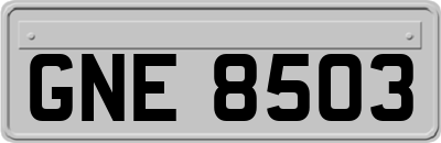 GNE8503