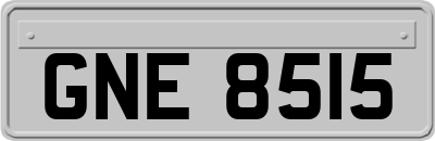 GNE8515