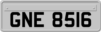 GNE8516