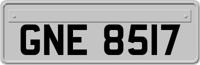 GNE8517