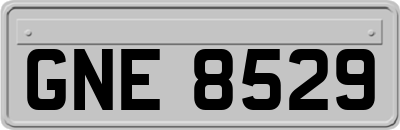 GNE8529
