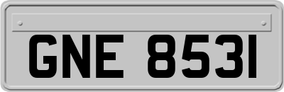 GNE8531