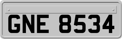 GNE8534