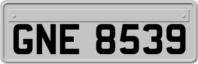 GNE8539