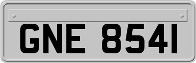 GNE8541