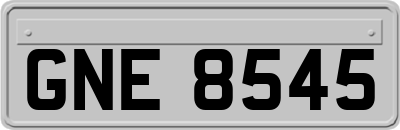 GNE8545