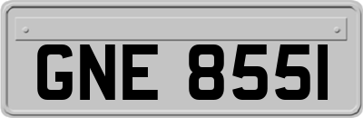 GNE8551