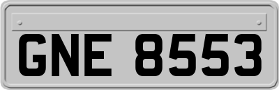 GNE8553