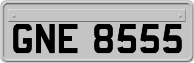 GNE8555