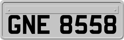 GNE8558