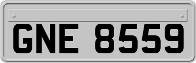 GNE8559