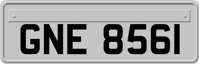 GNE8561