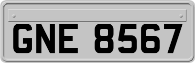 GNE8567