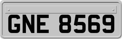 GNE8569