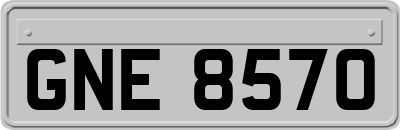 GNE8570