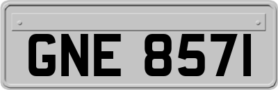GNE8571