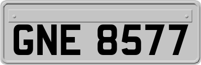 GNE8577