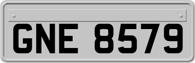 GNE8579