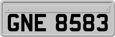 GNE8583