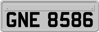GNE8586