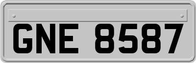 GNE8587