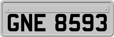 GNE8593