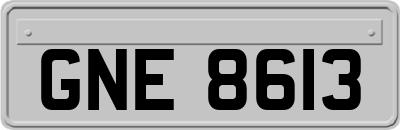 GNE8613
