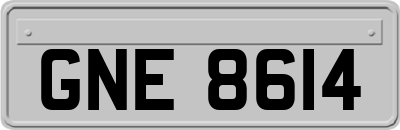 GNE8614