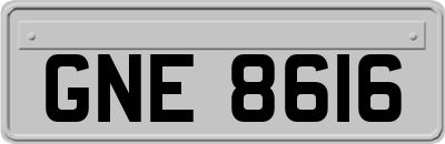 GNE8616