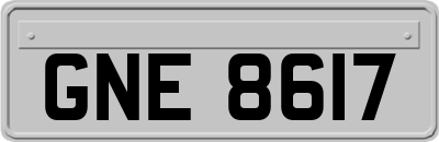 GNE8617