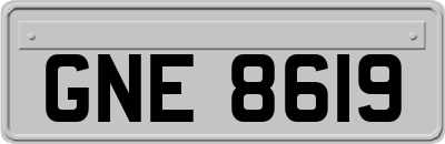 GNE8619