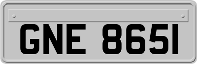 GNE8651