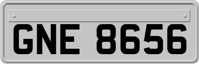 GNE8656