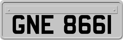 GNE8661