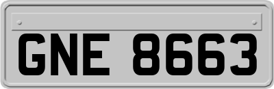 GNE8663