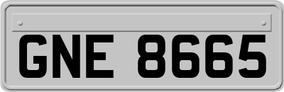GNE8665