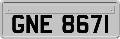 GNE8671