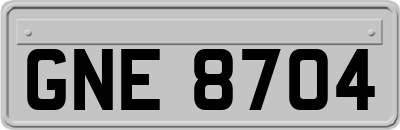 GNE8704