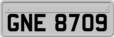 GNE8709