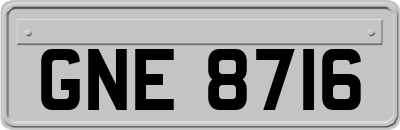 GNE8716