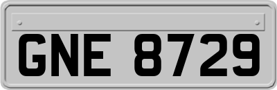 GNE8729