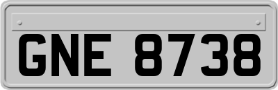 GNE8738