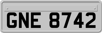 GNE8742