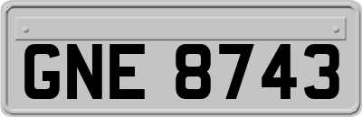 GNE8743