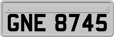 GNE8745