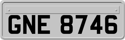 GNE8746