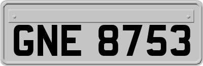 GNE8753