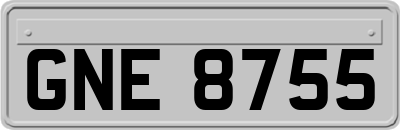 GNE8755