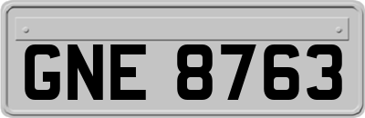 GNE8763